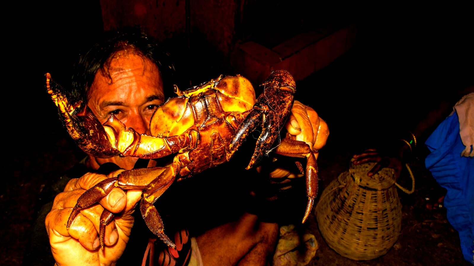 Experience Wilderness Crab Foraging